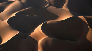 Muere el piloto espa&ntilde;ol Carles Falc&oacute;n, herido de gravedad durante el Dakar