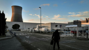 Francia registra la menor producci&oacute;n el&eacute;ctrica de origen nuclear desde 1988