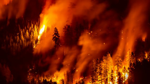 Canada tries to adapt to a future of wildfires