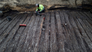 Gruppe suchte gezielt nach arch&auml;ologischen Sch&auml;tzen: Gro&szlig;angelegte Razzia