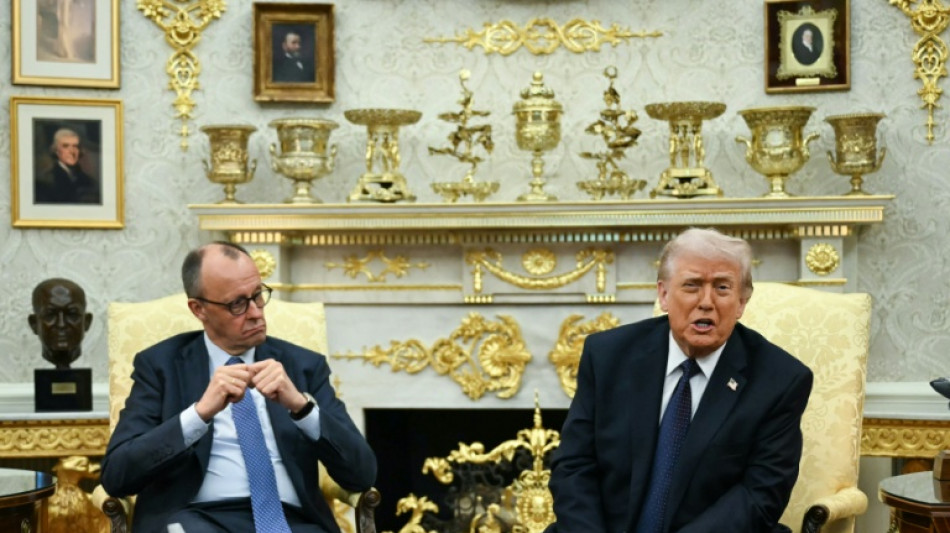 Trump y Merz, "en la misma sinton&iacute;a" sobre Ir&aacute;n