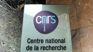 Recherche publique: la France en tête du palmarès européen pour le nombre de brevets déposés