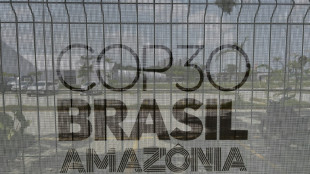 COP30 come&ccedil;a em Bel&eacute;m com negocia&ccedil;&otilde;es dif&iacute;ceis sobre energias f&oacute;sseis e financiamento