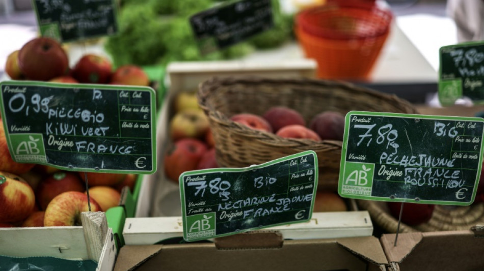Face &agrave; la crise du bio, les agriculteurs d'Occitanie font le "dos rond"