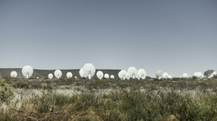 En Afrique du Sud, un radiotélescope géant attire des jeunes vers le cosmos