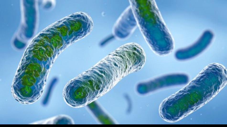 Sospetto focolaio legionella a Milano, campionamenti nelle case