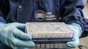 Argentina registra un aumento de casos de hantavirus, pero sin brote, dice un experto