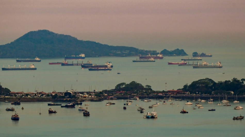 El canal de Panam&aacute; descarta una especulaci&oacute;n con los precios por el bloqueo de Ormuz 