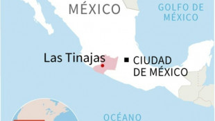 Al menos 19 muertos en tiroteo en el centro de M&eacute;xico (fiscal&iacute;a)