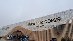 Pichetto, la Cop29 &egrave; una tappa di un processo irreversibile