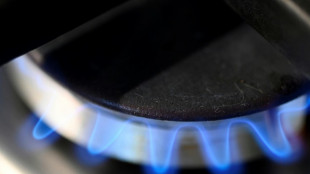 Gasspeicher f&uuml;llen sich offenbar schneller als geplant