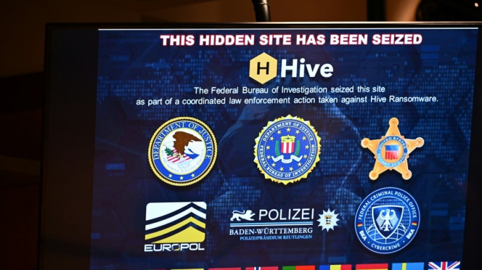 Hive, un r&eacute;seau de ran&ccedil;ongiciel redoutablemement efficace