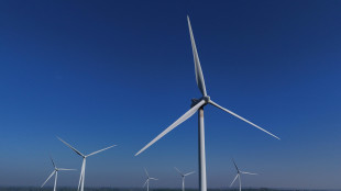 Italiani sì a energia pulita ma no al nucleare vicino casa