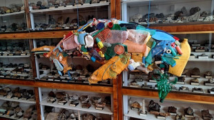 'Plastiche, i fossili del futuro' in mostra a Scandicci