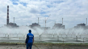 L'Ukraine dit qu'une coupure de courant nocturne a cr&eacute;&eacute; un risque d"'accident" &agrave; la centrale nucl&eacute;aire de Zaporijjia
