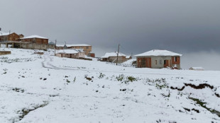 Heavy snow hits Turkey's northeast as wildfires rage