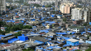 A Bombay, le plus grand bidonville d'Asie est à vendre