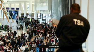 Republicanos de la C&aacute;mara rechazan plan del Senado para poner fin a caos en aeropuertos de EEUU