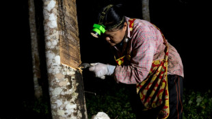 Tha&iuml;lande: la longue route vers un latex naturel vert