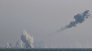 La Cor&eacute;e du Nord teste un nouveau missile anti-a&eacute;rien et accueille Cho&iuml;gou
