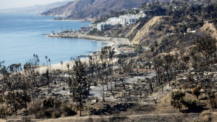Un suspect arrêté dans l'enquête sur les incendies meurtriers de janvier à Los Angeles