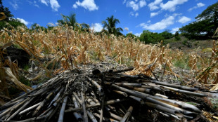 Dead animals, barren fields, and hunger - El Nino chokes Central America