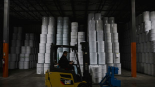 Un ladr&oacute;n canadiense de sirope de arce debe pagar m&aacute;s de 7 millones de d&oacute;lares