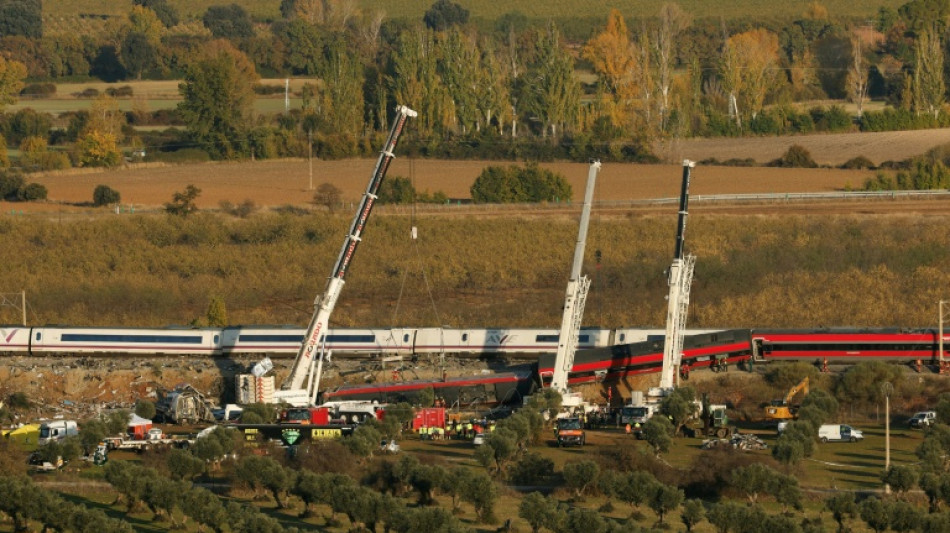 El gobierno espa&ntilde;ol trabaja de forma "incansable" para identificar a los fallecidos del accidente ferroviario