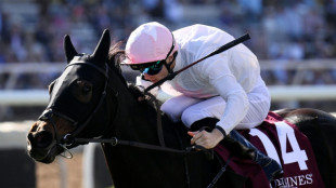 Ethical Diamond surges to upset win in $5 million Breeders' Cup Turf