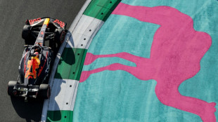 Verstappen shows stomach for fight as Red Bulls dominate
