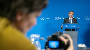 UN nuclear head renews call for Iran to allow inspections at key sites