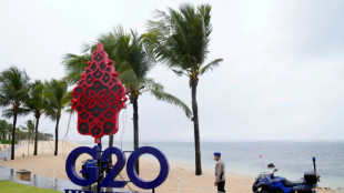 Ministros del G20 abren reuni&oacute;n en Bali con llamado a terminar la guerra en Ucrania