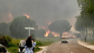 Violent incendie dans les Pyr&eacute;n&eacute;es-Orientales: plus de 3.000 personnes &eacute;vacu&eacute;es de campings