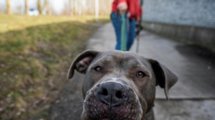 Nordrhein-Westfalen: Hund beißt einjährigen Jungen in Gesicht