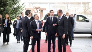 Berlino, Witkoff e Kushner invitati alla cena con gli europei