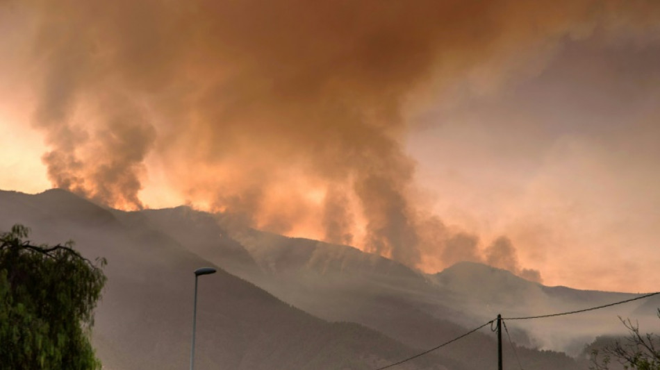 Un incendio en la isla espa&ntilde;ola de Tenerife avanza sin control