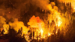 Brigadistas combaten incendios que arrasan m&aacute;s de 15.000 hect&aacute;reas en la Patagonia argentina