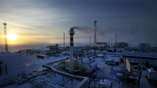 Rusia proh&iacute;be a partir de febrero vender petr&oacute;leo a pa&iacute;ses que topen el precio