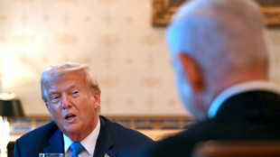 Friedensplan für Gaza: Trump empfängt Netanjahu im Weißen Haus