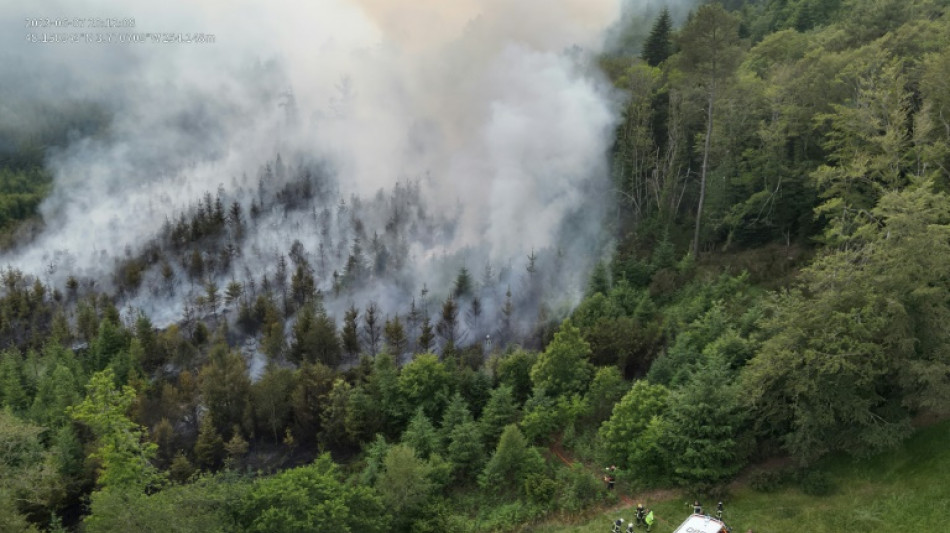 Finist&egrave;re: un incendie pr&eacute;coce d&eacute;truit cinq hectares de v&eacute;g&eacute;tation