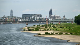 Geparktes Auto mit zwei jungen Leuten rollt bei Köln versehentlich in Rhein