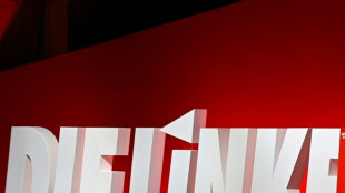 Bewerber f&uuml;r Linke-Vorsitz setzen auf Kernthemen und Abgrenzung zum BSW