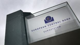 EZB ber&auml;t &uuml;ber Folgen der Inflation und Schw&auml;che des Euro