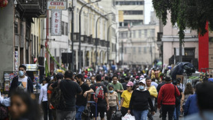 La econom&iacute;a de Per&uacute;, un "edificio antis&iacute;smico" ante terremotos pol&iacute;ticos
