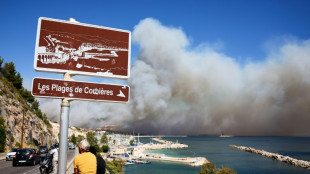 A Marseille, où le feu est désormais "fixé", les habitants découvrent l'ampleur du "massacre"