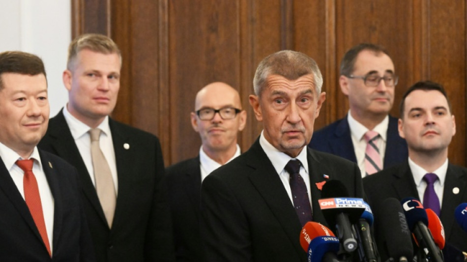 Designierter tschechischer Regierungschef Babis stellt Kabinettsliste vor