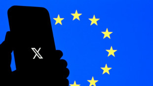 EUA tenta apoiar Musk em batalha legal contra UE