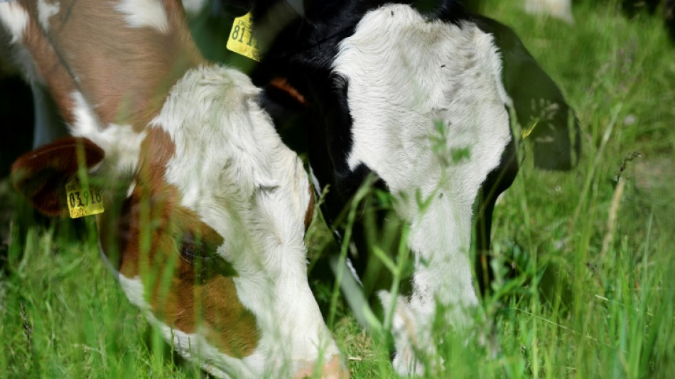 EU-Rechnungshof sieht schwere Fehler bei F&ouml;rdergeld-Vergabe f&uuml;r Bio-Landwirte