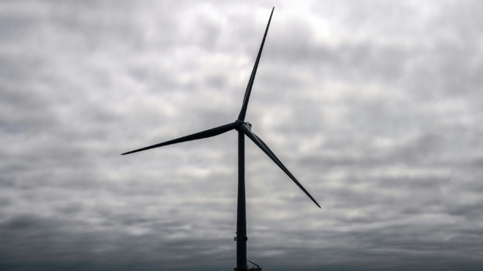 Eolien en mer: BP et TotalEnergies vainqueurs de m&eacute;ga-ench&egrave;res en Allemagne