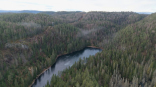 Bodensch&auml;tze: Norwegisches Vorkommen an Seltenen Erden deutlich gr&ouml;&szlig;er als gedacht